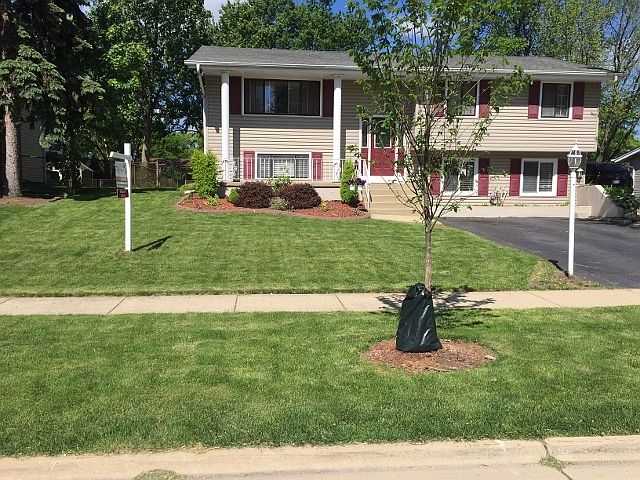 1st image of 707 Boxwood Dr