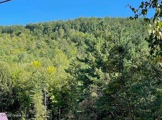 0 Ernest Smith Rd, Adirondack, NY 12808