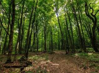 817 Dairy Hill Rd, Little Falls, NY 13365