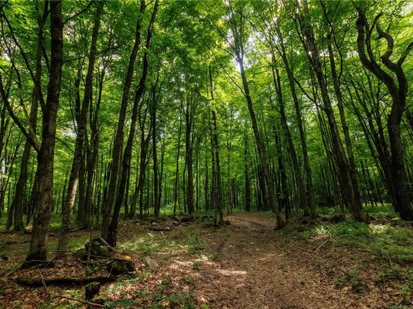 817 Dairy Hill Rd, Little Falls, NY 13365