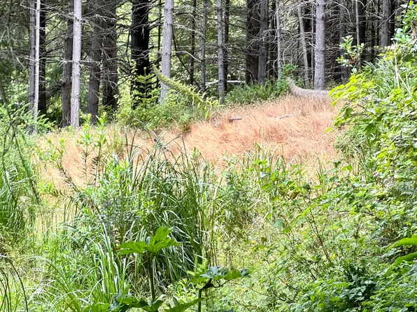 191 Redwood Rd, Whitethorn, CA 95589