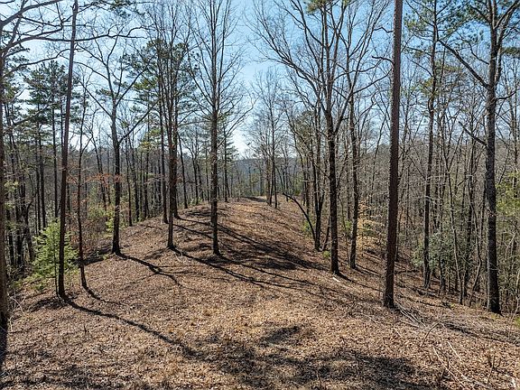 3rd image of LOT 134 Sundown Trl