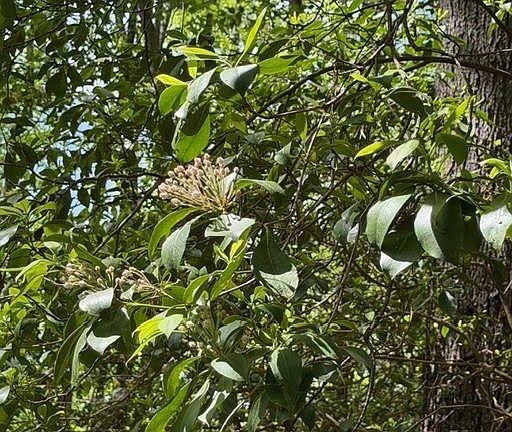 4th image of 348 Hemlock Trl #5