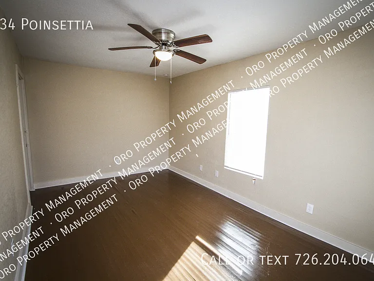 934 Poinsettia — Photo 13