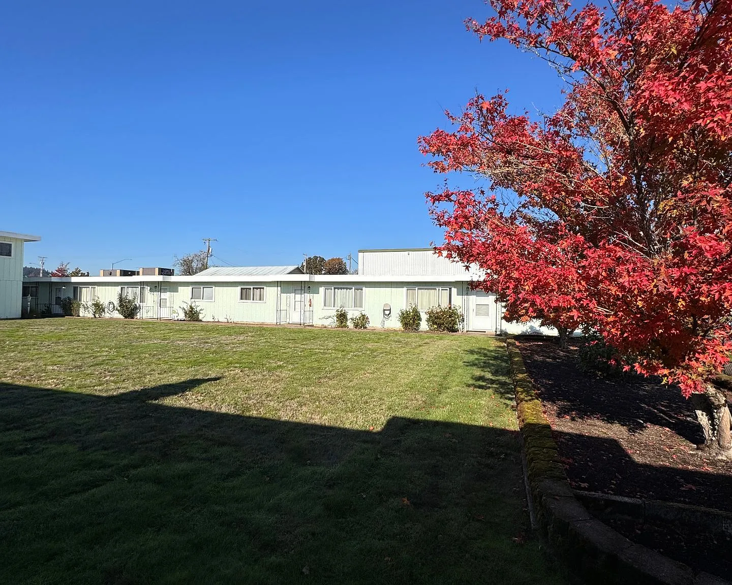 P 146 — Photo 3