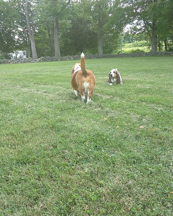 huge yard