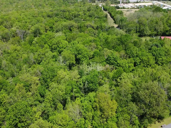 113 Blake St, Marshall, AR 72650