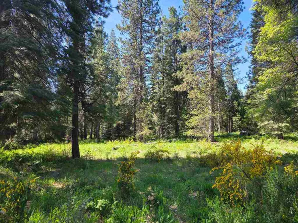 LOT 76 Panther Meadow Dr, McCloud, CA 96057