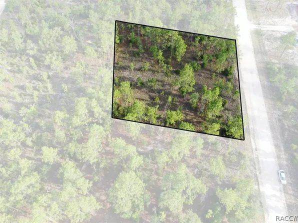 0 NE 131st Ter #8, Williston, FL 32696