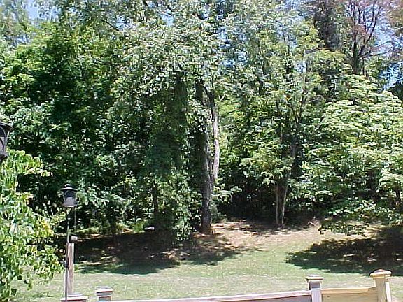 3rd image of 1411 Valley View Dr