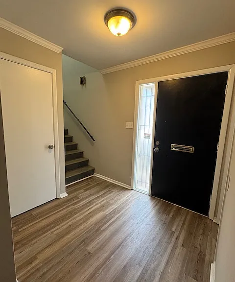 2269 Robin Lyn Ct — Photo 10