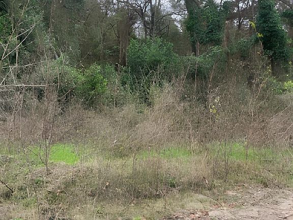 4th image of 22781 Dogwood Trl