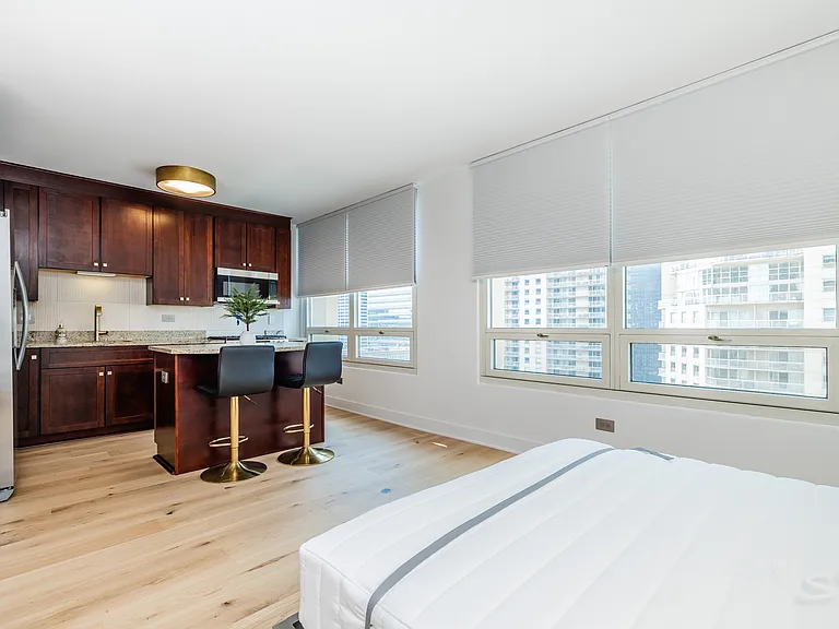 33 W Ontario St #31D — Photo 11