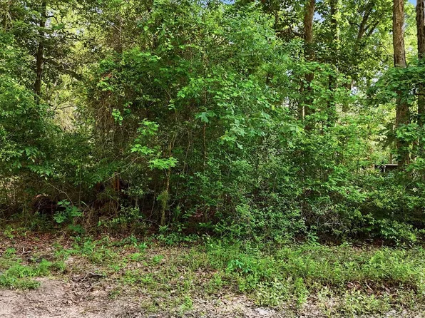 164 Road 2699, Cleveland, TX 77327