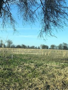 205 County Road 562, Monette, AR, 72447