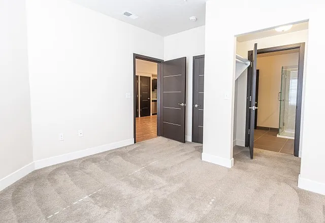 Bedrooms with Lush Carpet and Modern Lighting Bedrooms with Lush Carpet and Modern Lighting
