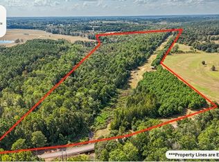 83 County Road 4409 Rd, Brundidge, AL 36010