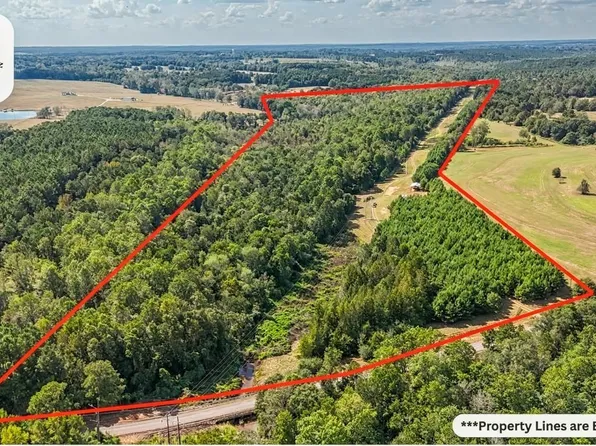 83 County Road 4409 Rd, Brundidge, AL 36010