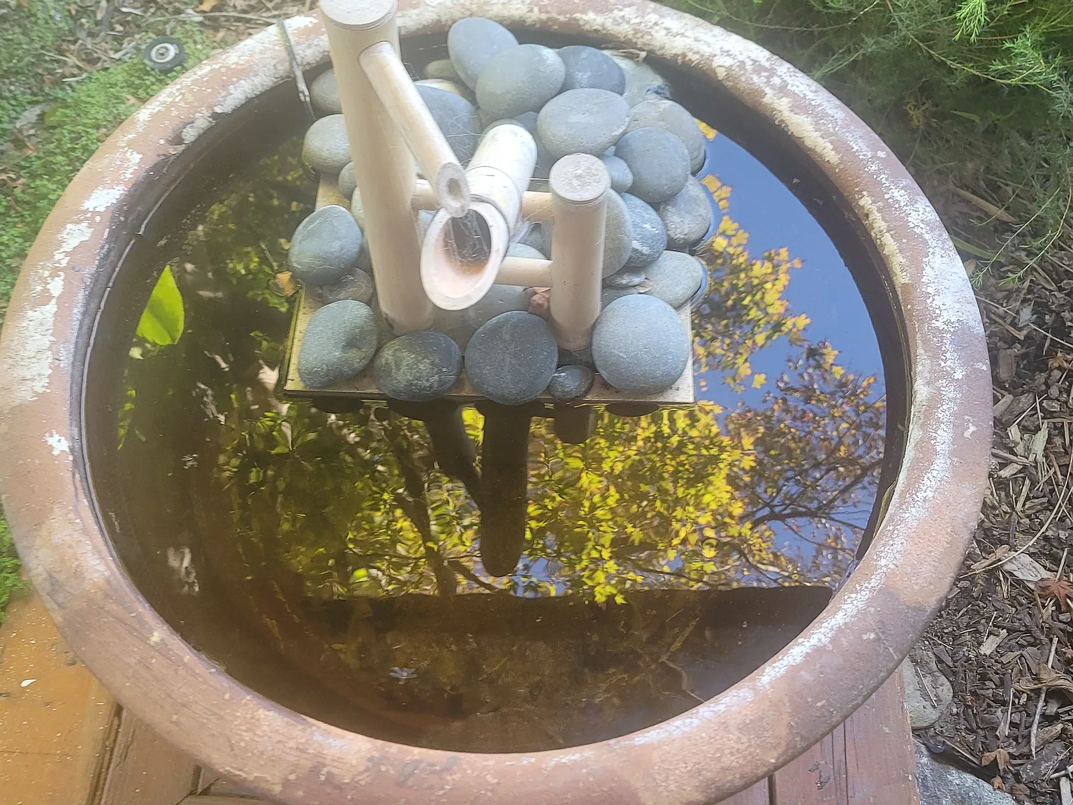 Lemur St, Ventura — Photo 2