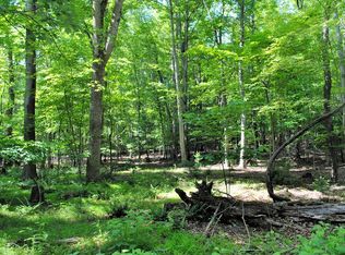 19.8 Woods On The Lake Rd, Radford, VA 24141