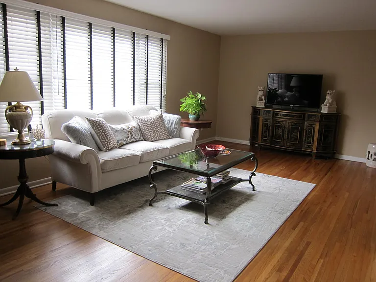 Living Room with Furniture