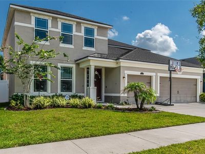 13222 Baby Belle Dr, Riverview, FL, 33579