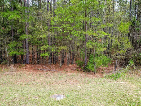 1078 Clinton-Williams Road, Lincolnton, GA 30817