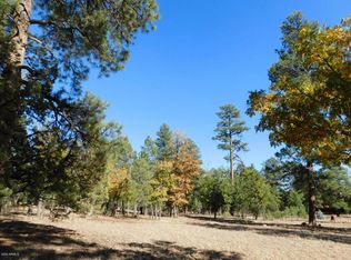 3896 Timberline Dr LOT 16, Happy Jack, AZ 86024