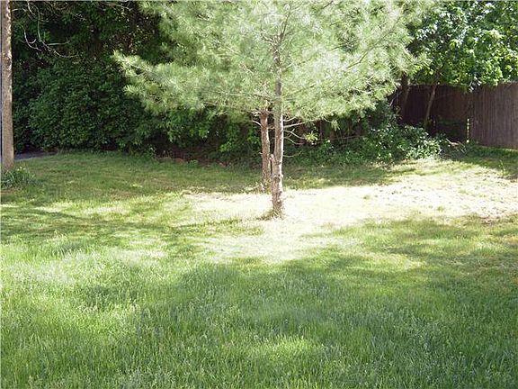 View of Side yard