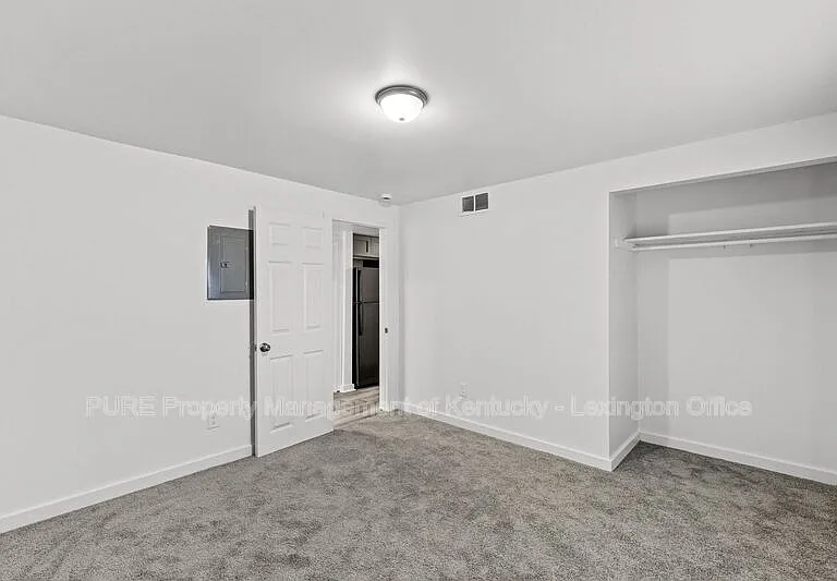 725 E College St #725 E COLLEGE STREET — Photo 7