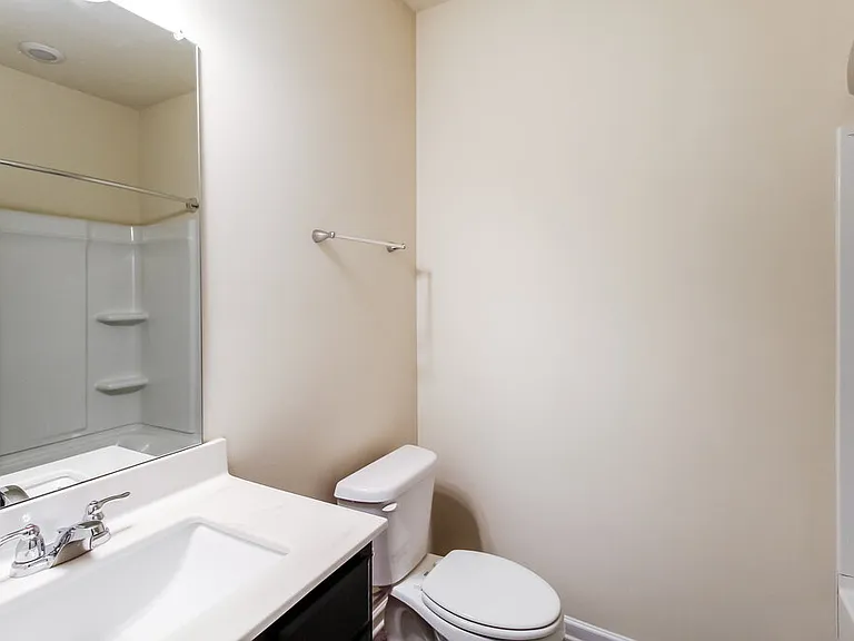 295 Hamilton Pointe Dr — Photo 19