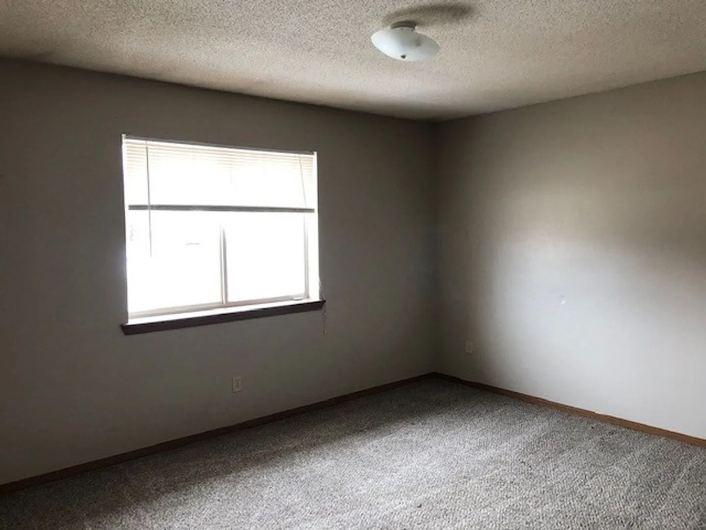 270 Apple Tree Ct — Photo 3