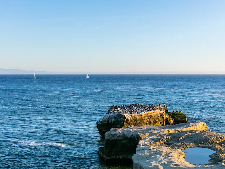 Oceanview — Photo 48