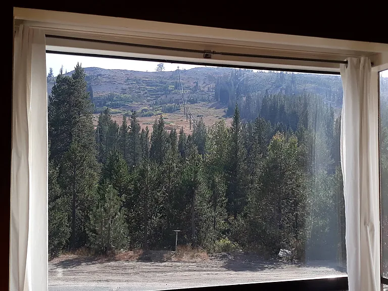 21572 Donner Pass Rd — Photo 4