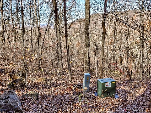 3rd image of LOT 9 The Hemlocks Lot 9