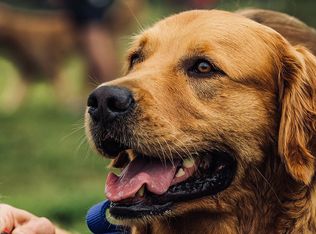 4121 Shoreland Dr, Vero Beach, FL 32963