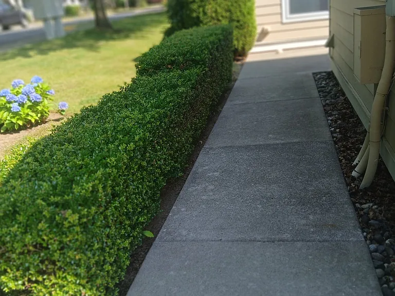 5760 Correll Dr #101 — Photo 7