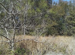 Juniper Loop Cir LOT 77, Ocala, FL 34480