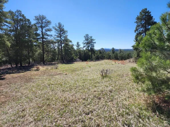 Ridge Spur Ln Unit 1, Trinidad, CO 81082