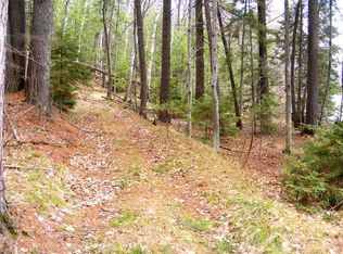 Chain O Lakes Rd, Eagle River, WI 54521