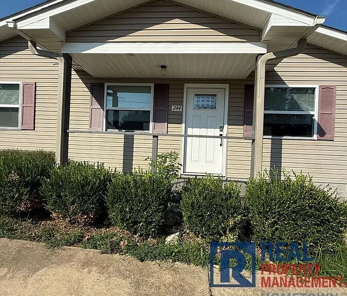 244 Palmetto St — Photo 3