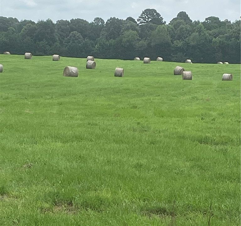 1st image of Vacant Land County Rd #3411