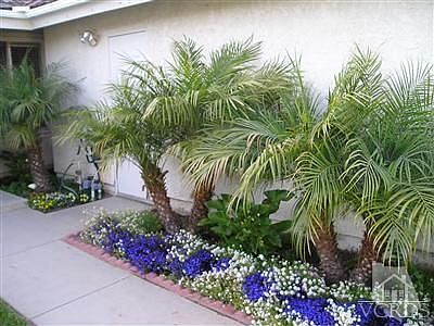 Right of walkway to front door gorgeous landscaping!
