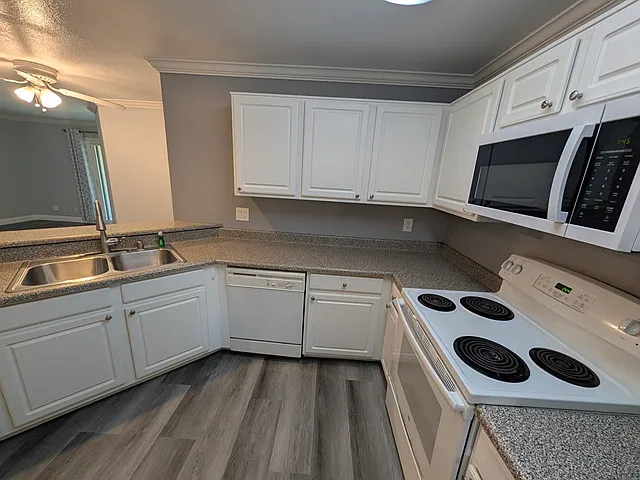 7445 Charmant Dr #1708 — Photo 5
