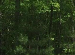 4501 Fraser Rd, Glennie, MI 48737