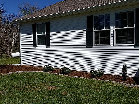 CORAL EVERGREEN ROSE BUSHES