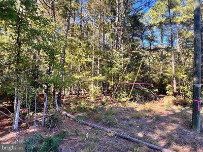 Glebe, Montross, VA, 22520