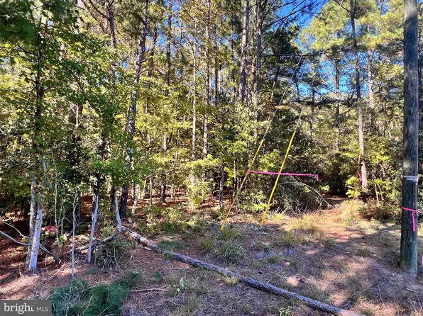 Glebe, Montross, VA 22520