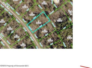 14264 Earline Rd, Brooksville, FL 34614