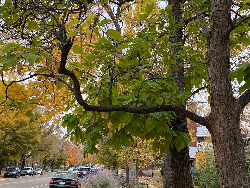 Street in front of property